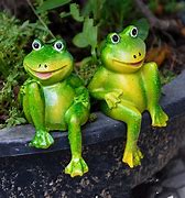 Image result for Frog Accessories
