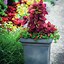 Image result for Tall Square Plant Pots