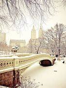 Image result for New York Central Park Snow