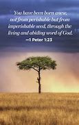 Image result for Inspirational Bible Quotes