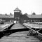 Image result for Christmas in Nazi Germany