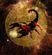 Image result for Digital Art Scorpion