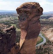 Image result for Faces in Nature