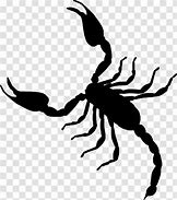 Image result for Black and White Scorpion Vector