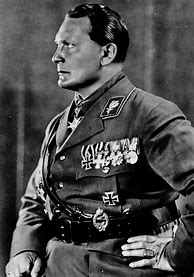 Image result for Himmler Goering