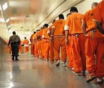 Image result for Single Prison Cell