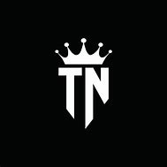 Image result for Nashville TN Logo
