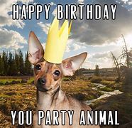 Image result for Birthday Wishes Funny Man