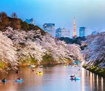 Image result for Tokyo Japan Attractions