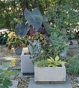 Image result for Using Pavers in Planters