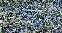 Image result for Upright Freezers Frost Free