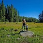 Image result for Grand Mesa Hiking Trails