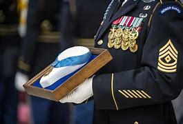 Image result for Army Soldier's Medal