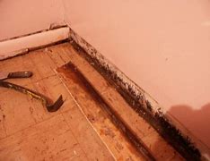 Image result for Attic Mold Removal