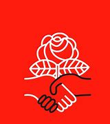 Image result for United States Democratic Party Socialist