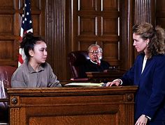 Image result for Lawyer in Court