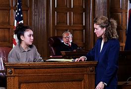 Image result for Women Lawers in Court