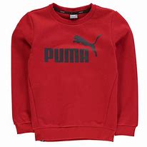 Image result for Sweaters Puma Kids