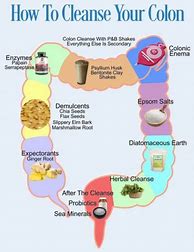 Image result for How to Cleanse Your Colon
