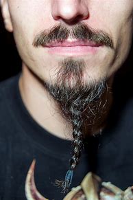 Image result for Beard Braid