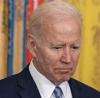 Image result for Biden and Johnson at Summit