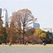 Image result for Tokyo Gardens