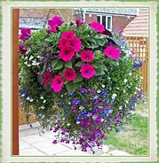 Image result for Yellow Hanging Flower Baskets