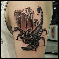 Image result for Celtic Scorpion Tattoo Designs