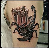 Image result for Beautiful Scorpion Tattoo Designs