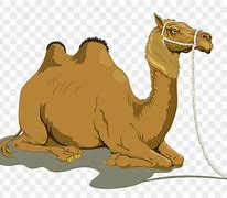 Image result for Moving Animated Camel Clip Art