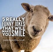 Image result for Jokes to Make People Laugh