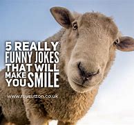 Image result for Very Funny Laughed