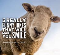 Image result for Good Jokes That Are Actually Funny