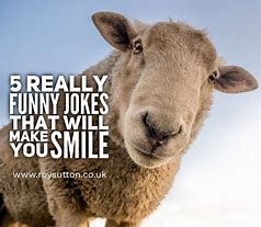 Image result for Hilarious Joke of the Day