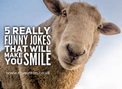 Image result for Funny Quotes to Make Someone Laugh