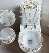 Image result for Clear Toilet