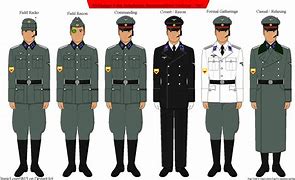 Image result for The SS and Gestapo