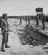 Image result for Dead SS WW2