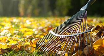 Image result for Lawn Care Tools