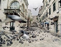 Image result for Dubrovnik War Before After