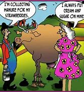 Image result for Farm Joke Cartoons Funny