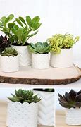 Image result for Succulent Clay Pots