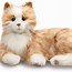 Image result for Cute Stuffed Animals