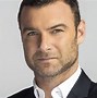 Image result for Ray Donovan Cast