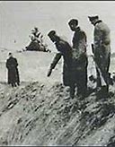 Image result for Latvian SS War Crimes