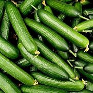 Image result for garden sweet burpless hybrid slicing cucumber seed