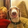 Image result for Things That Make You Smile Cute