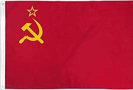Image result for Communist Ukraine Flag