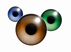 Image result for Hans Frank Eye Color