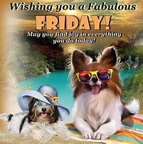 Image result for Have an Amazing Friday